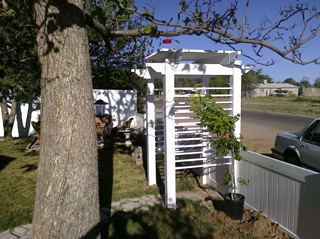 Pergola Arch
