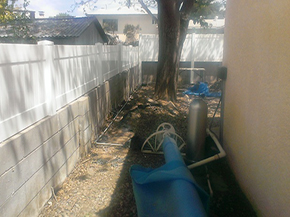 5 1/2 foot Honey Grain